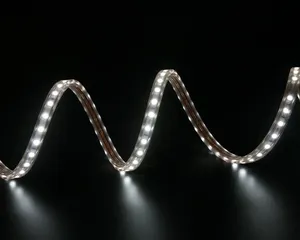 KIT-RL2000-LED-ASSY